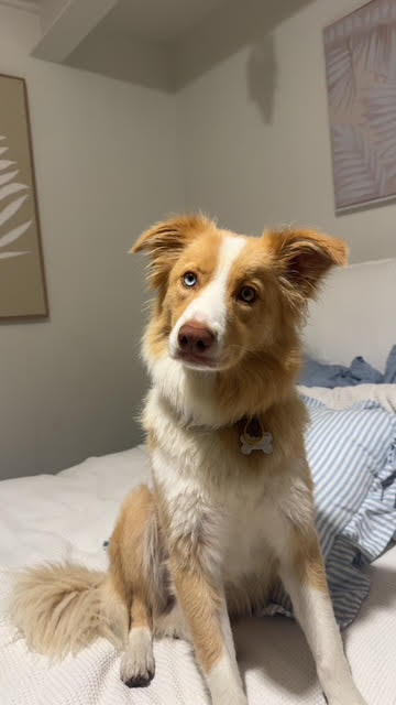 cjukmvnuyxbjagf0lzezljyyljeumcaoavbob25lmtysmjsgau9tidi2ljaumtsgz3ppcckgag==