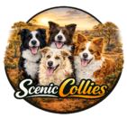 scenic collies logo